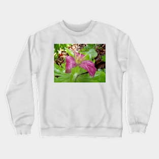 purple trillium #4 Crewneck Sweatshirt